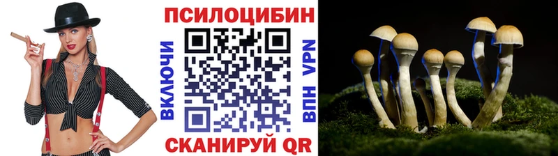 Галлюциногенные грибы мицелий  ОМГ ОМГ сайт  Саратов 