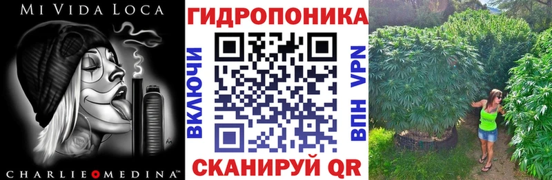Бошки марихуана White Widow  где найти наркотики  Саратов 